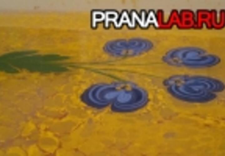 «Prana Group» презентовала шоу водной анимации в Сингапуре