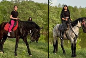 Лошадей украли с конюшни в Мостовском районе