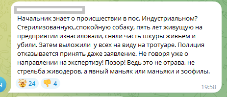 Жители Краснодара рассказали об изнасиловании и убийстве дворняги