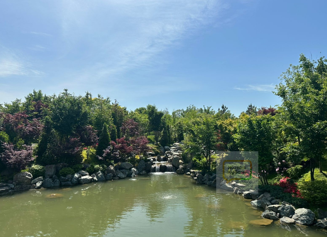 В парке Галицкого в Краснодаре посетителей считают по головам