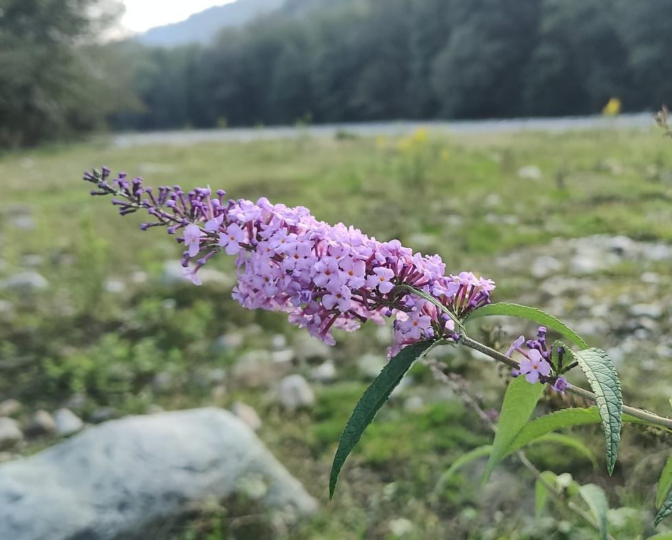 Фото: Живая Кубань