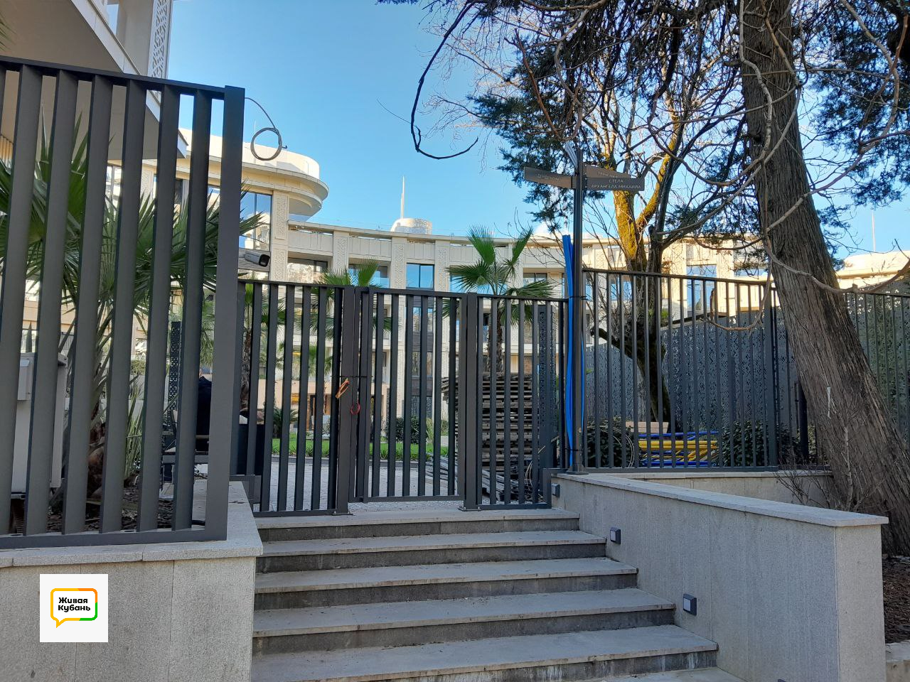 Фото: Живая Кубань