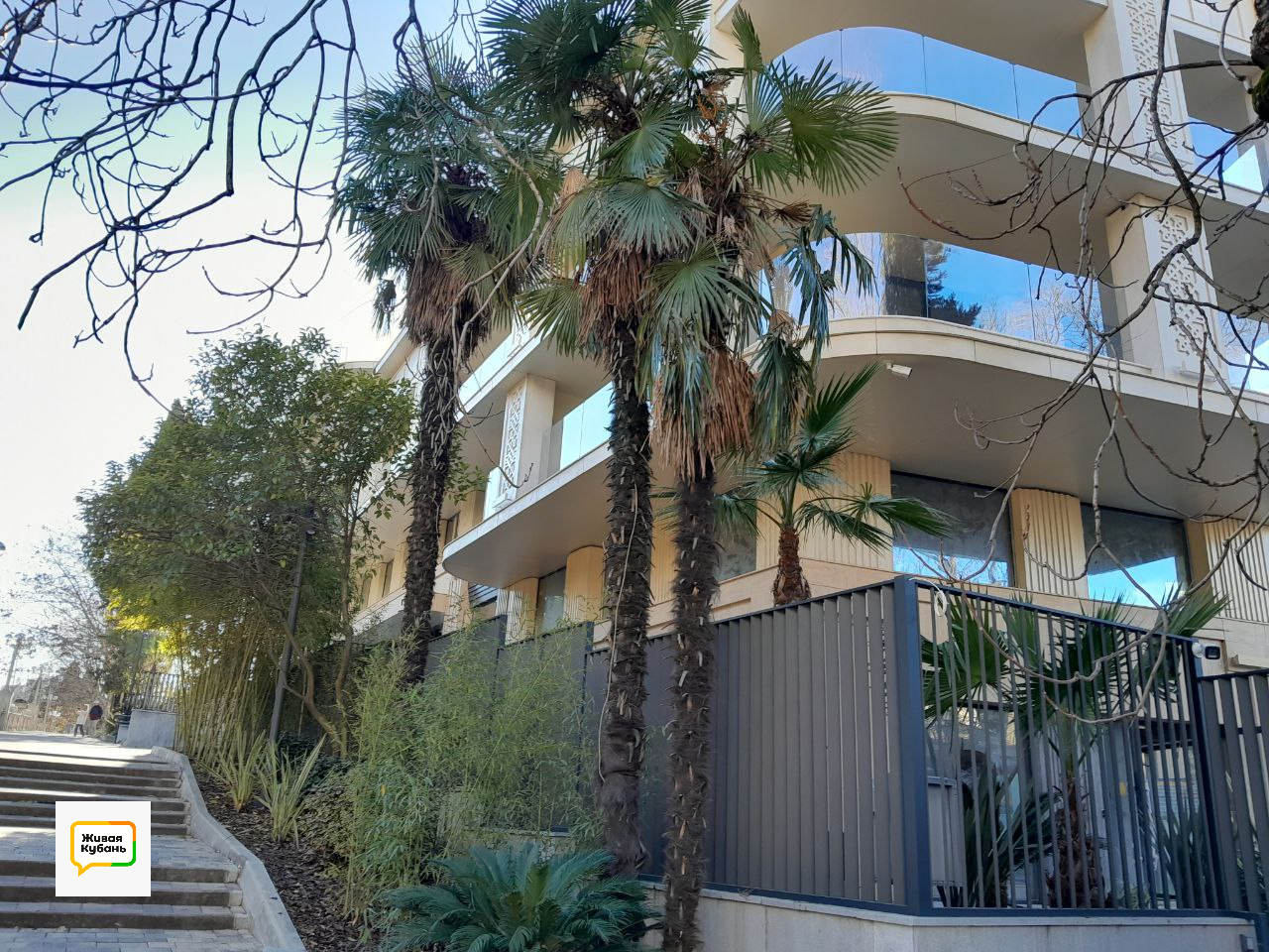 Фото: Живая Кубань