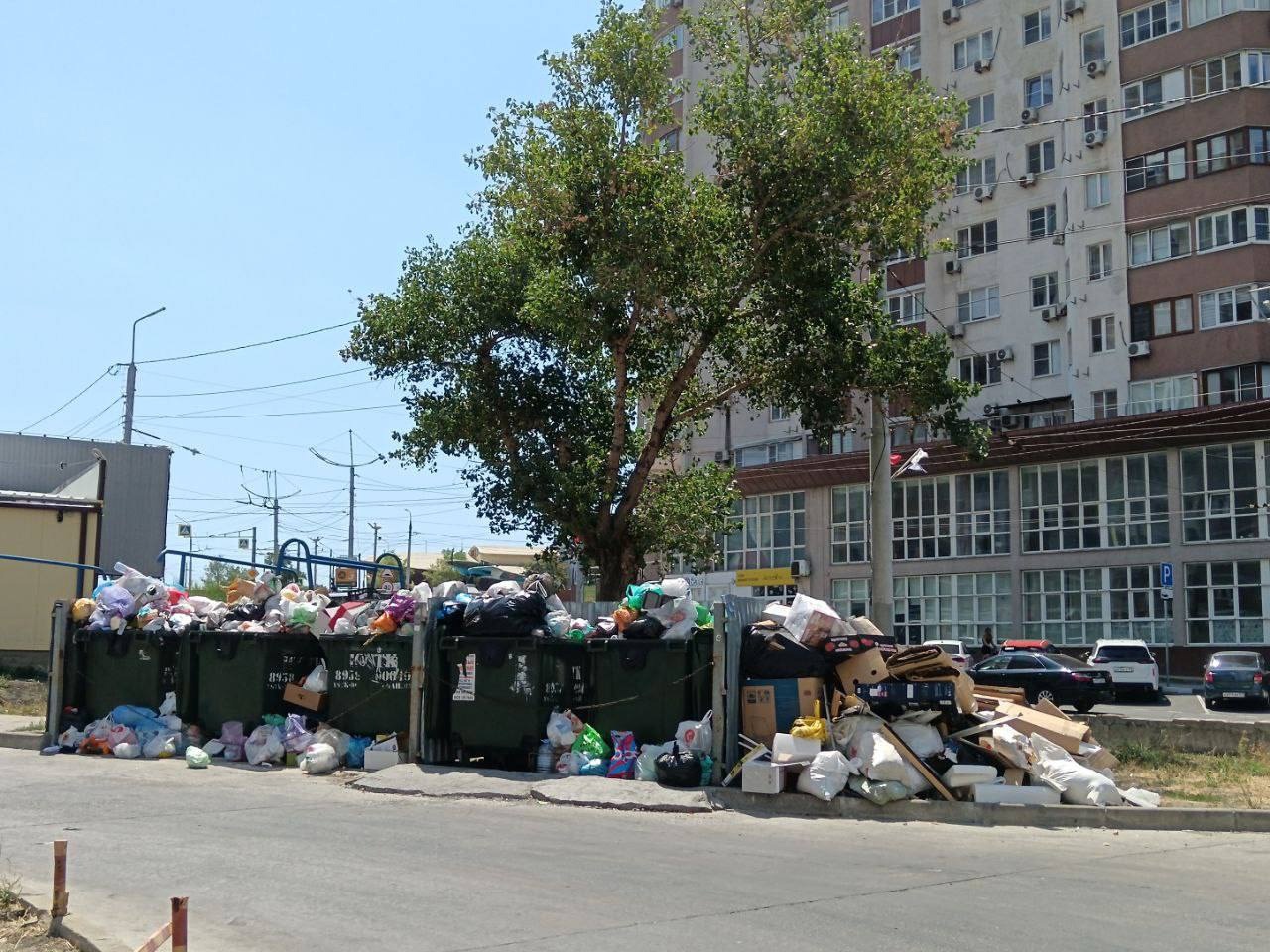 Фото: мэрия Новороссийска