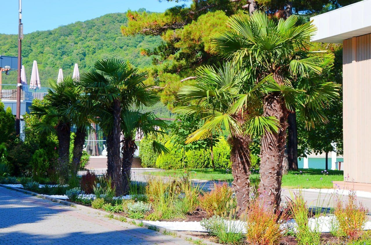 Фото: Типичный Краснодар