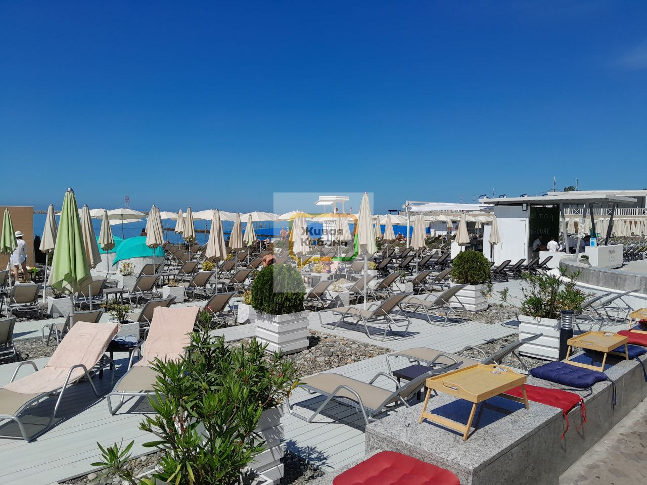 Фото: Живая Кубань