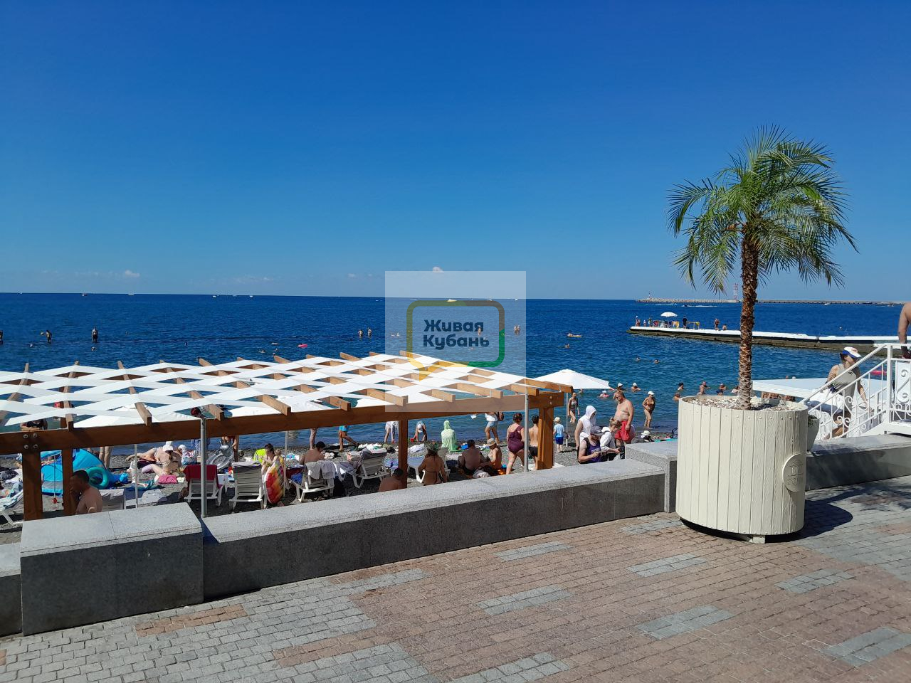 Фото: Живая Кубань