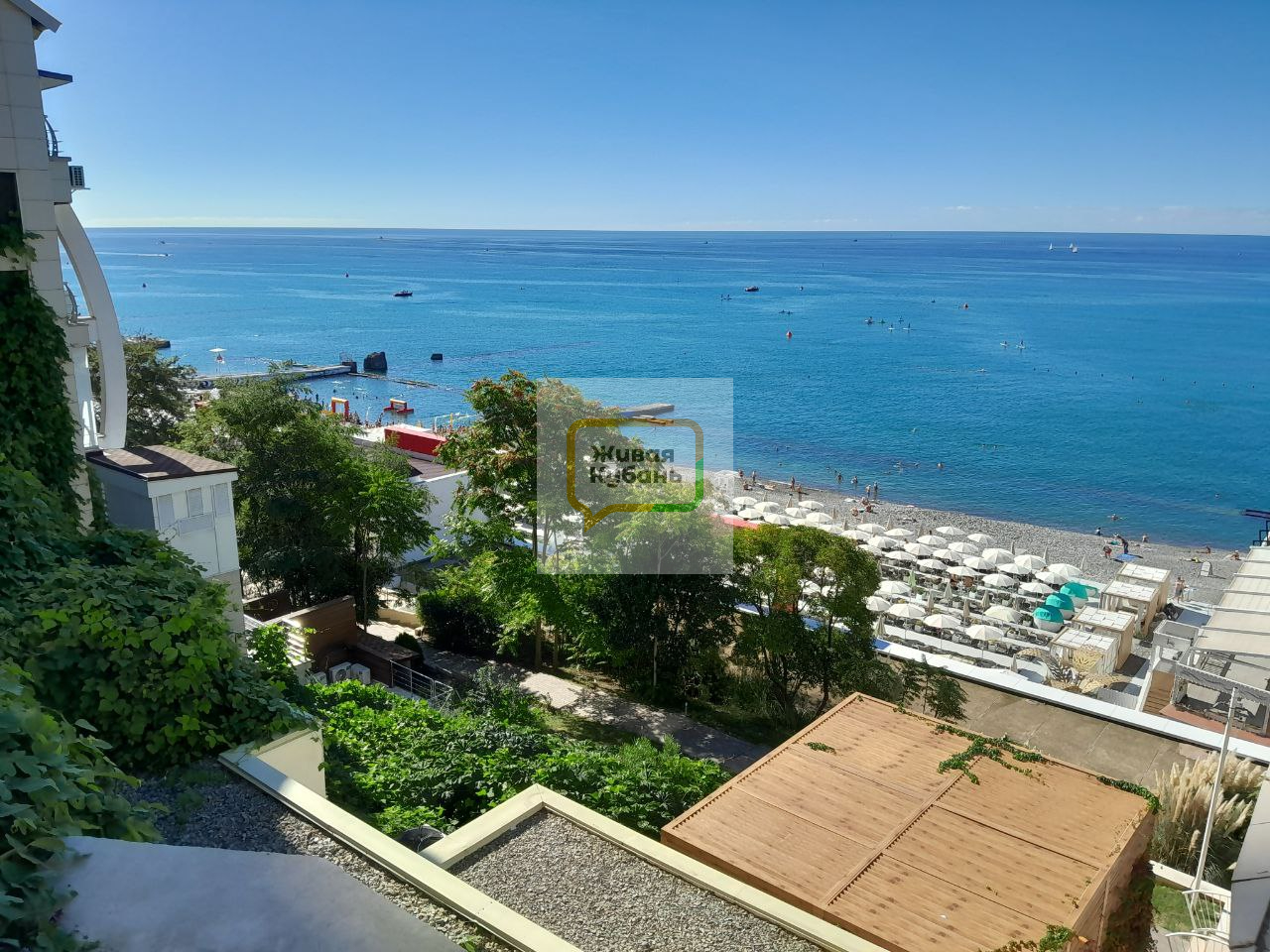 Фото: Живая Кубань