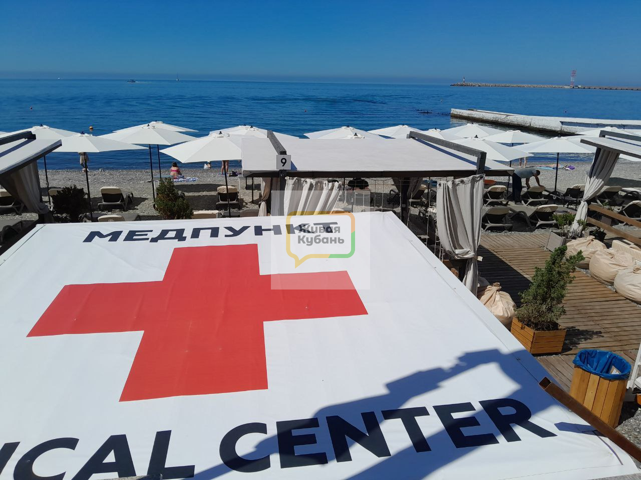 Фото: Живая Кубань