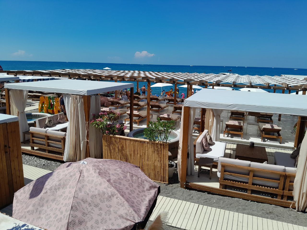 Фото: Живая Кубань