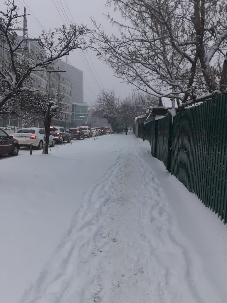 Ночной снегопад практически парализовал Краснодар