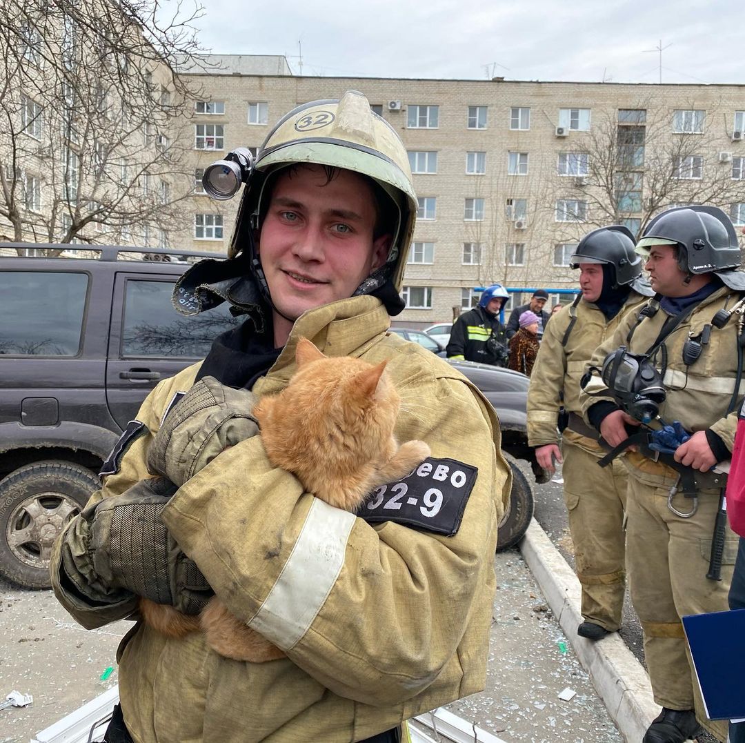 Каждая жизнь дорога: в Армавире из пожара спасли рыжего кота