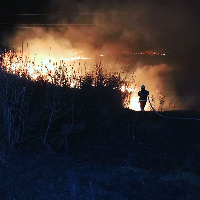 В Тимашевском районе тушили два масштабных пожара (ВИДЕО)