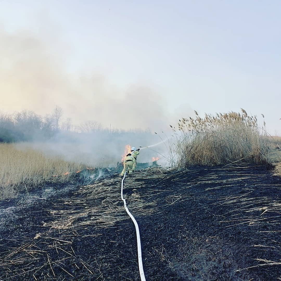 В Тимашевском районе тушили два масштабных пожара (ВИДЕО)