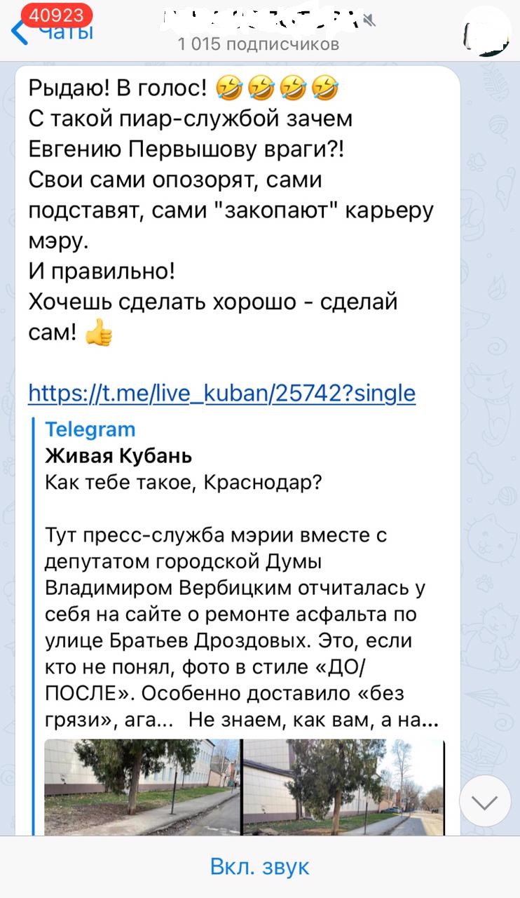 Депутат  Краснодара отчитался о «масштабах» своей работы
