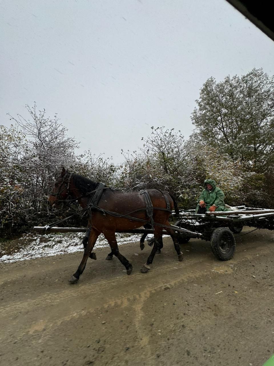 Снег в Краснодарском крае