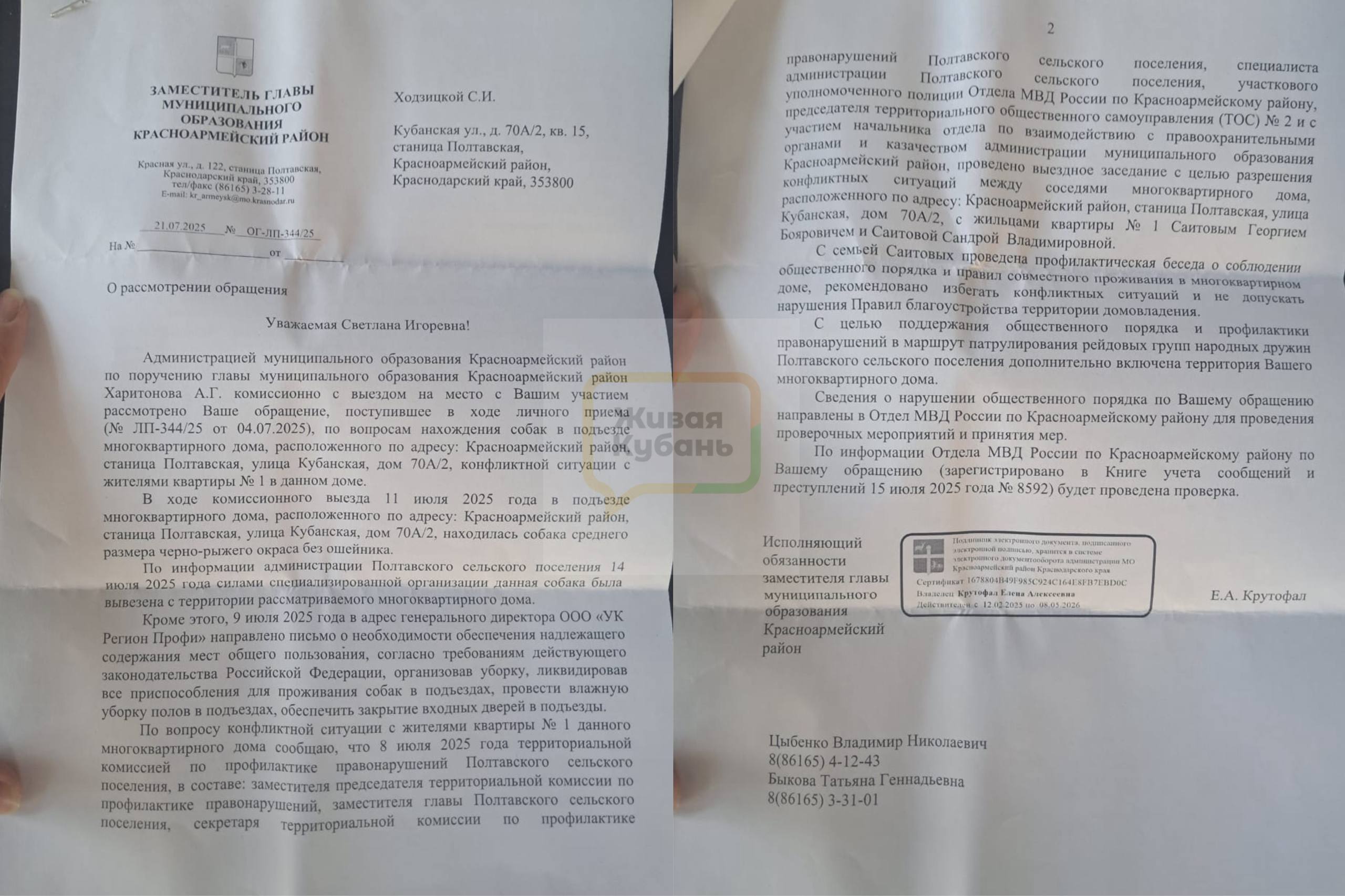 Цыгане в Краснодарском крае