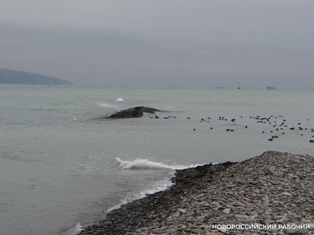 Остров в Новороссийске