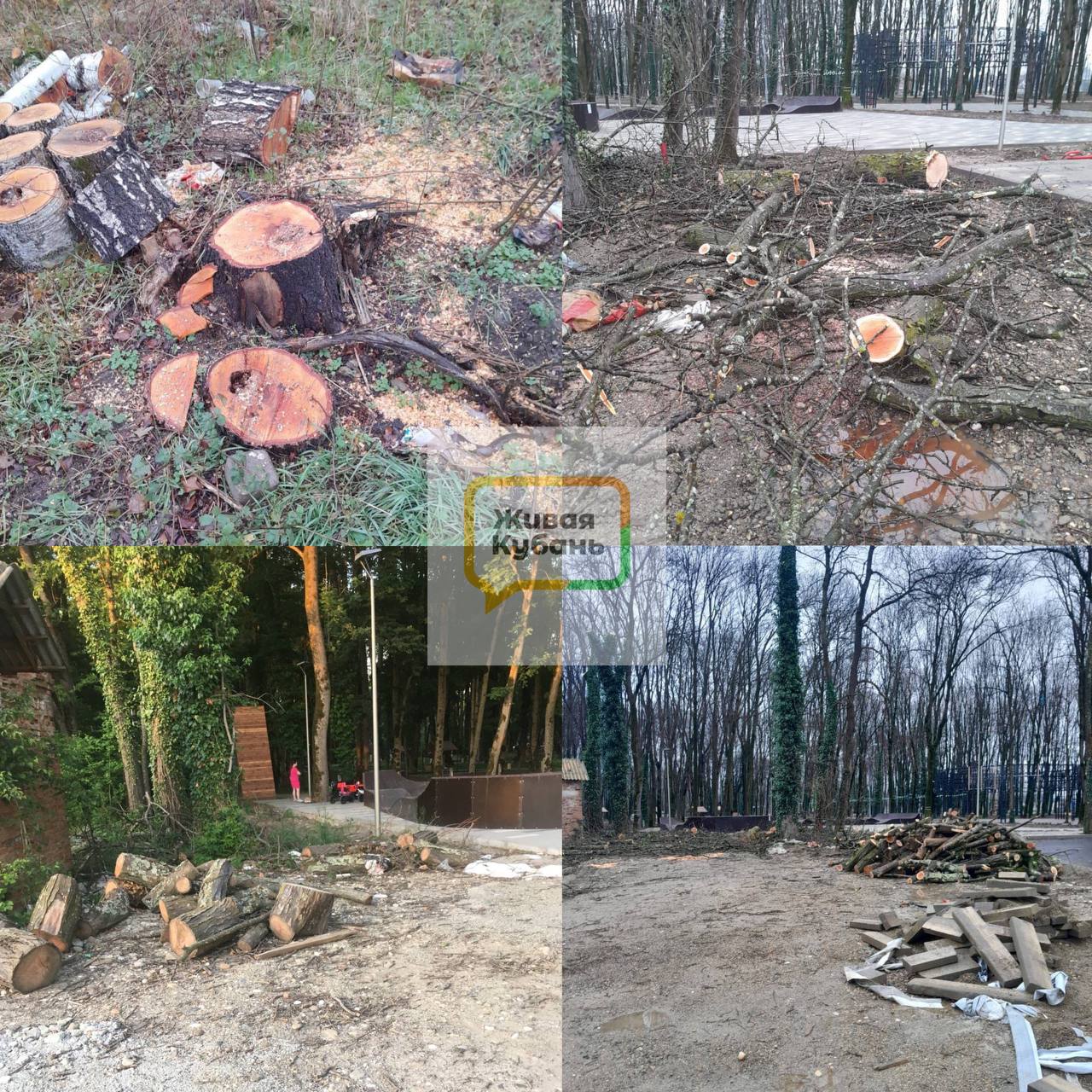 Беспредел администрации в Апшеронске, парк Юность