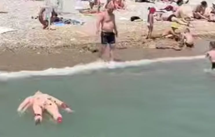 Человека якобы покусала акула в Новороссийске