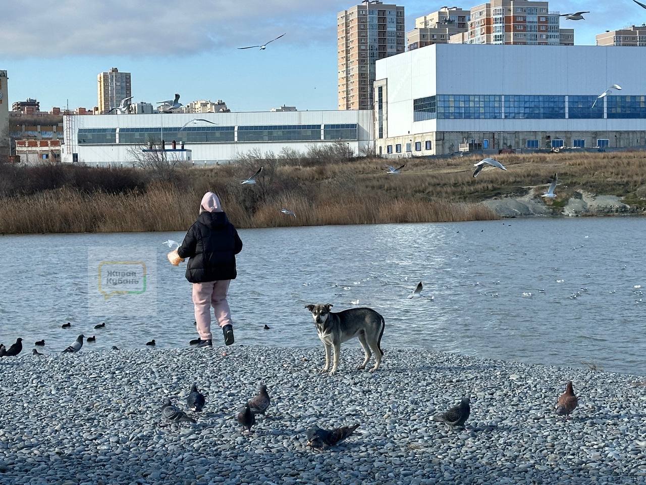 Пляж Алексино в Новороссийске