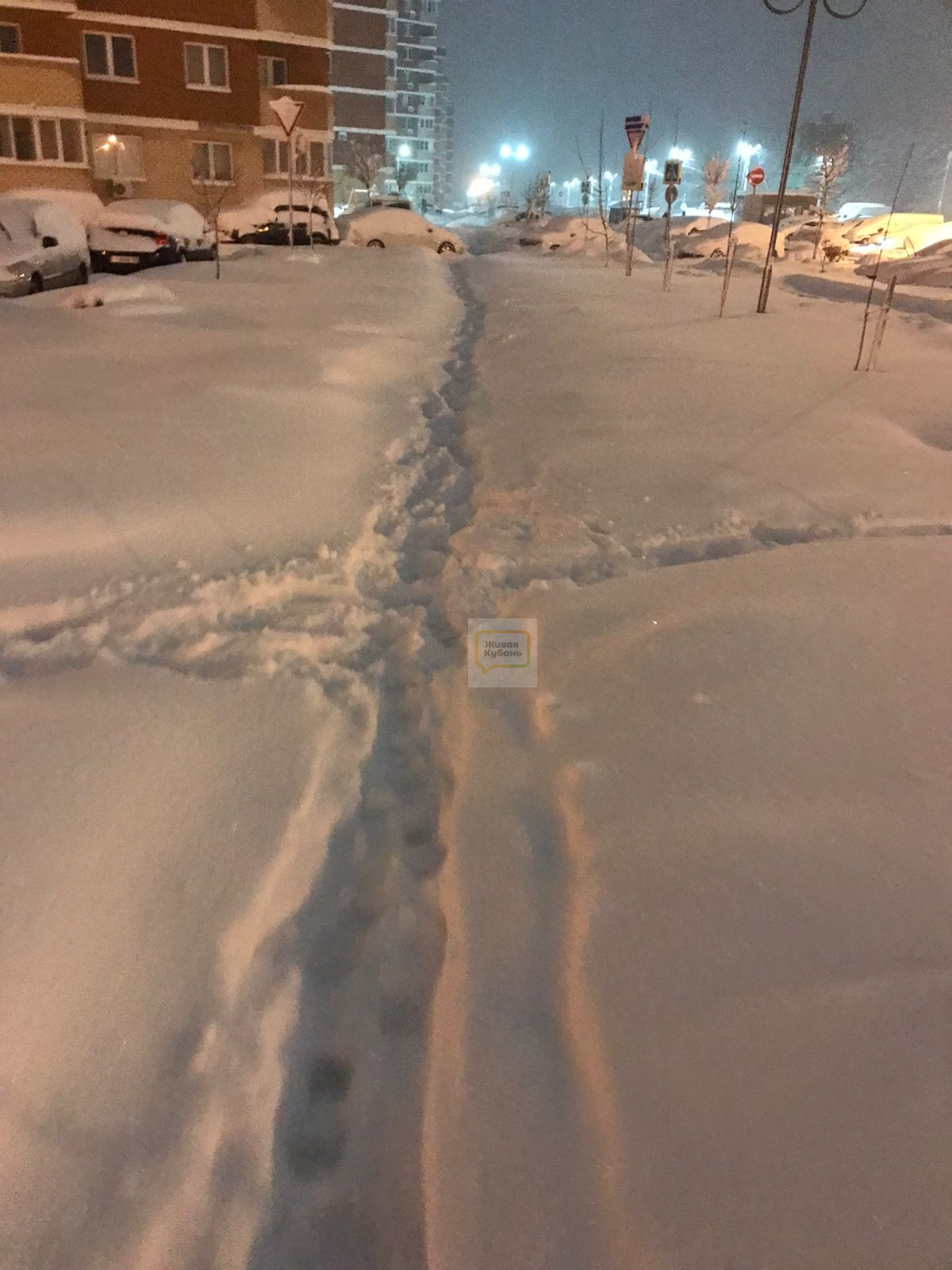 Рекордная высота за всю историю: в Краснодаре выпал 41 см снега ВИДЕО