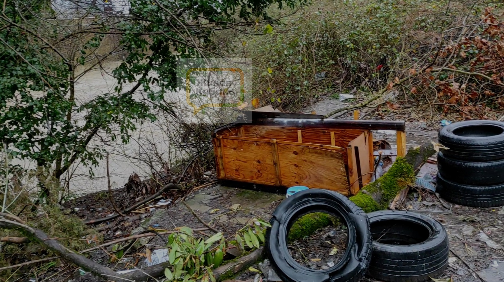 В Дагомысе мусор из переполненных контейнеров загрязняет реку