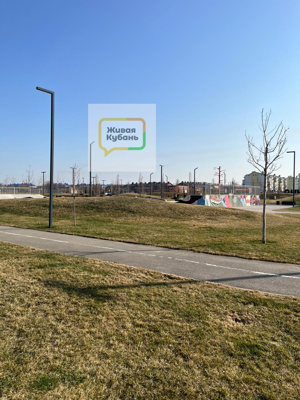 Родные просторы