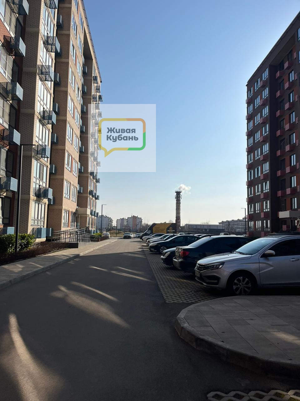 Родные просторы