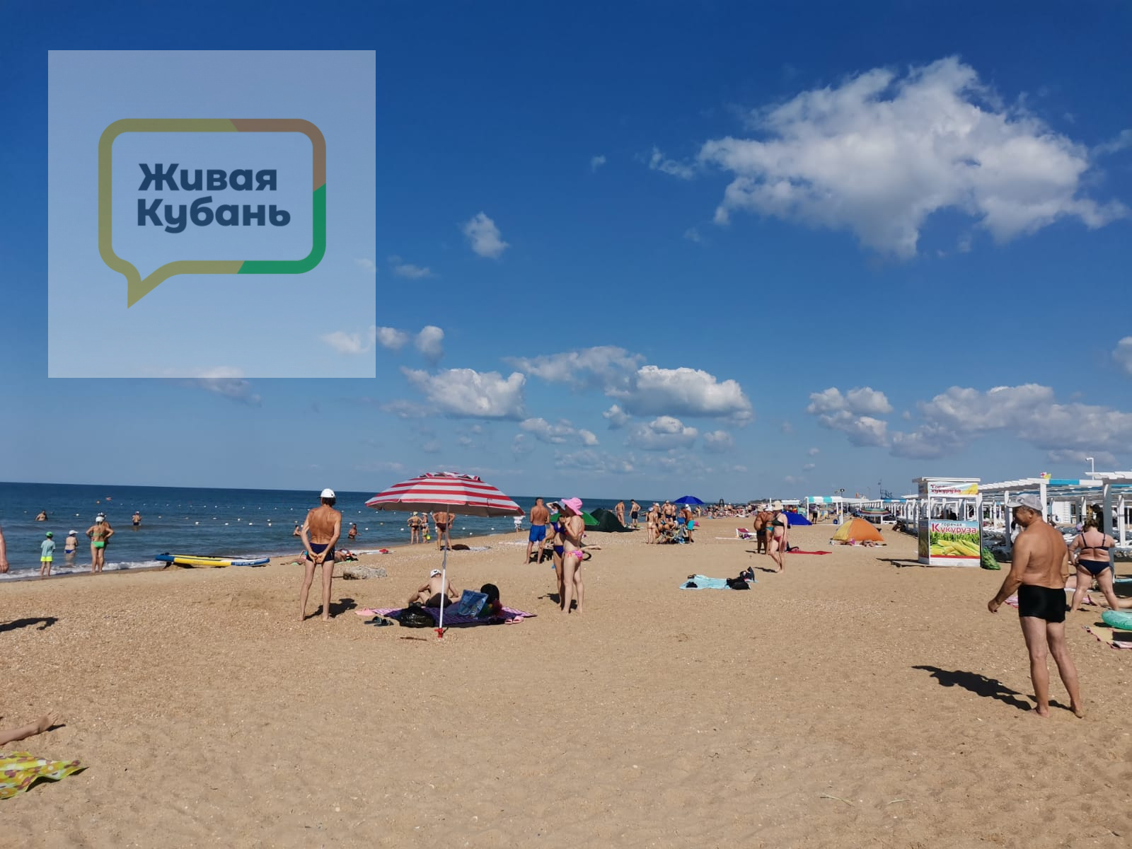 Фото: Живая Кубань