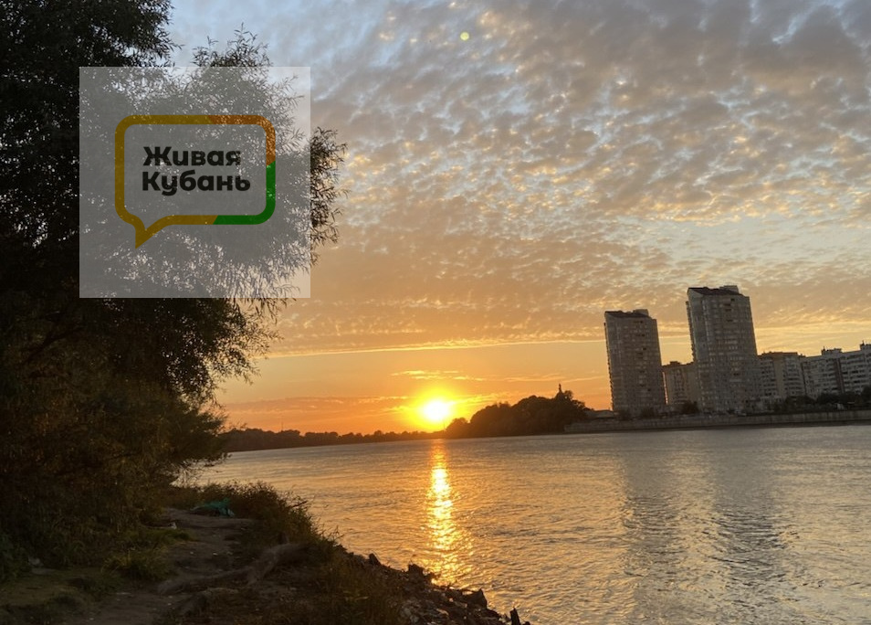Фото: Живая Кубань