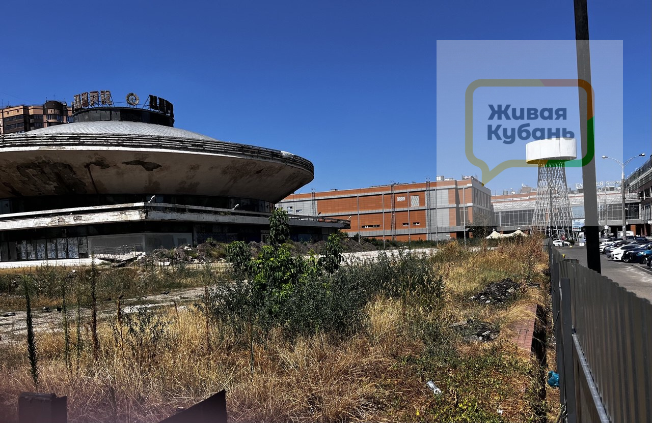 Фото: Живая Кубань