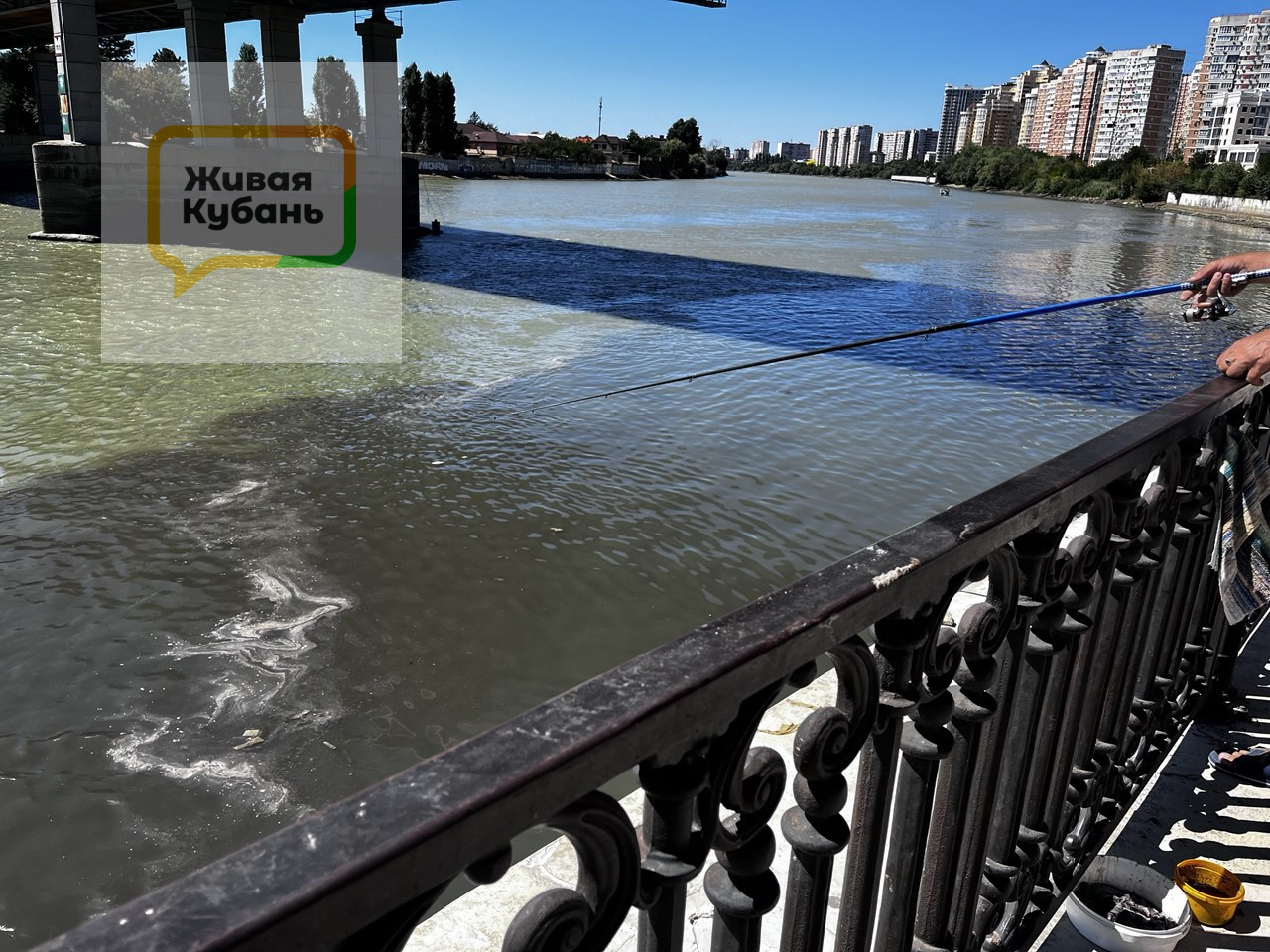 Фото: Живая Кубань
