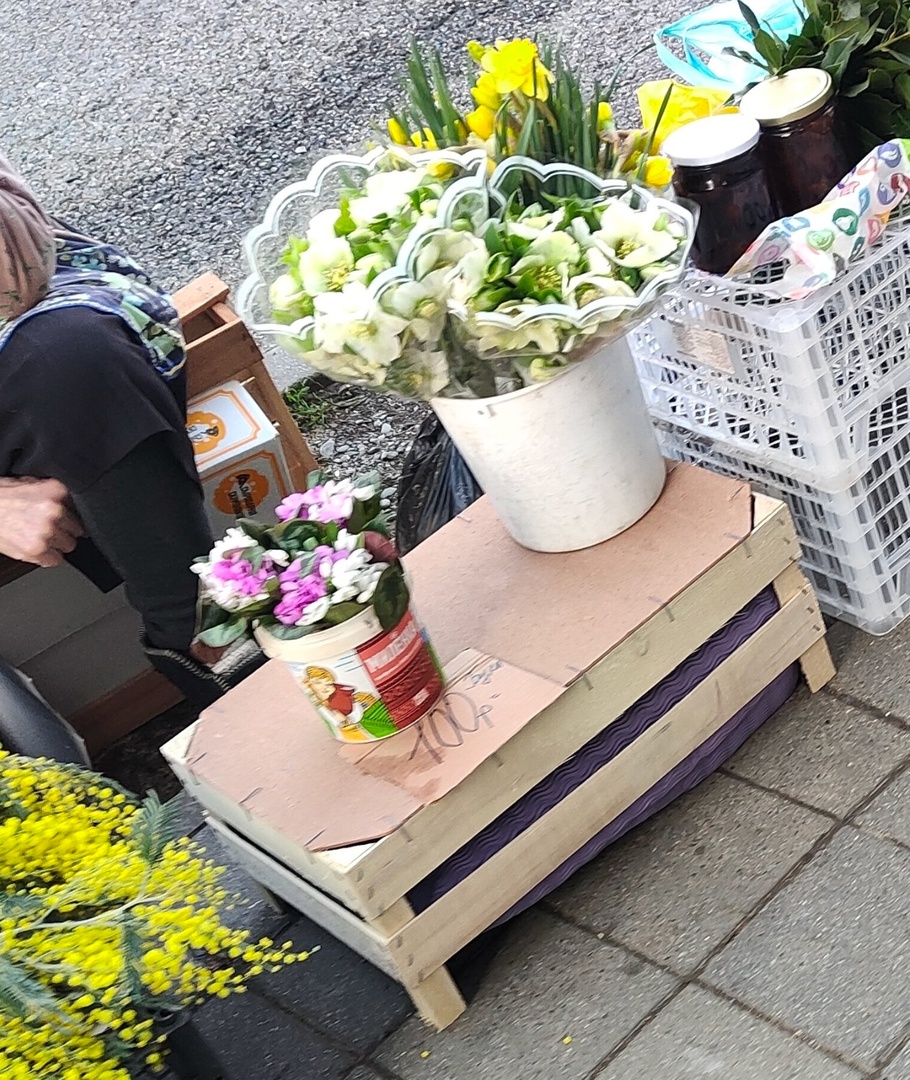 Необычно ранние: нарциссами торгуют в Сочи