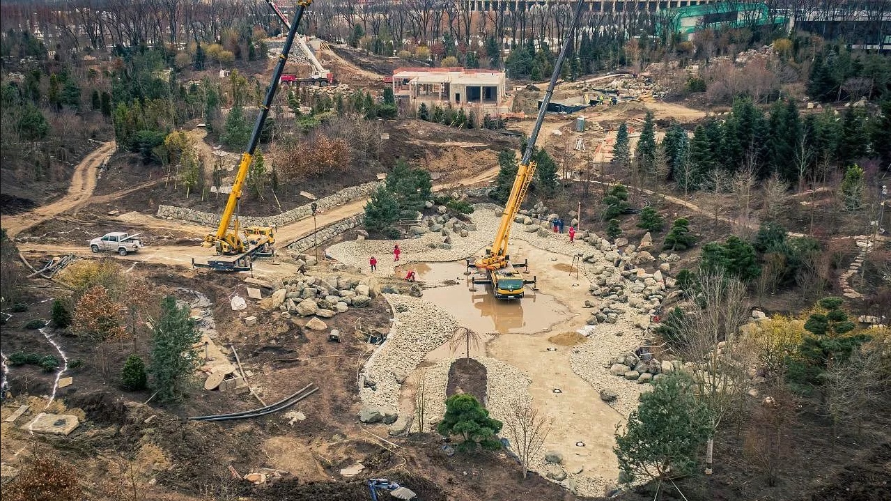 В Парке Галицкого появились озеро и бамбуковая роща | 25.03.2022 | Краснодар  - БезФормата