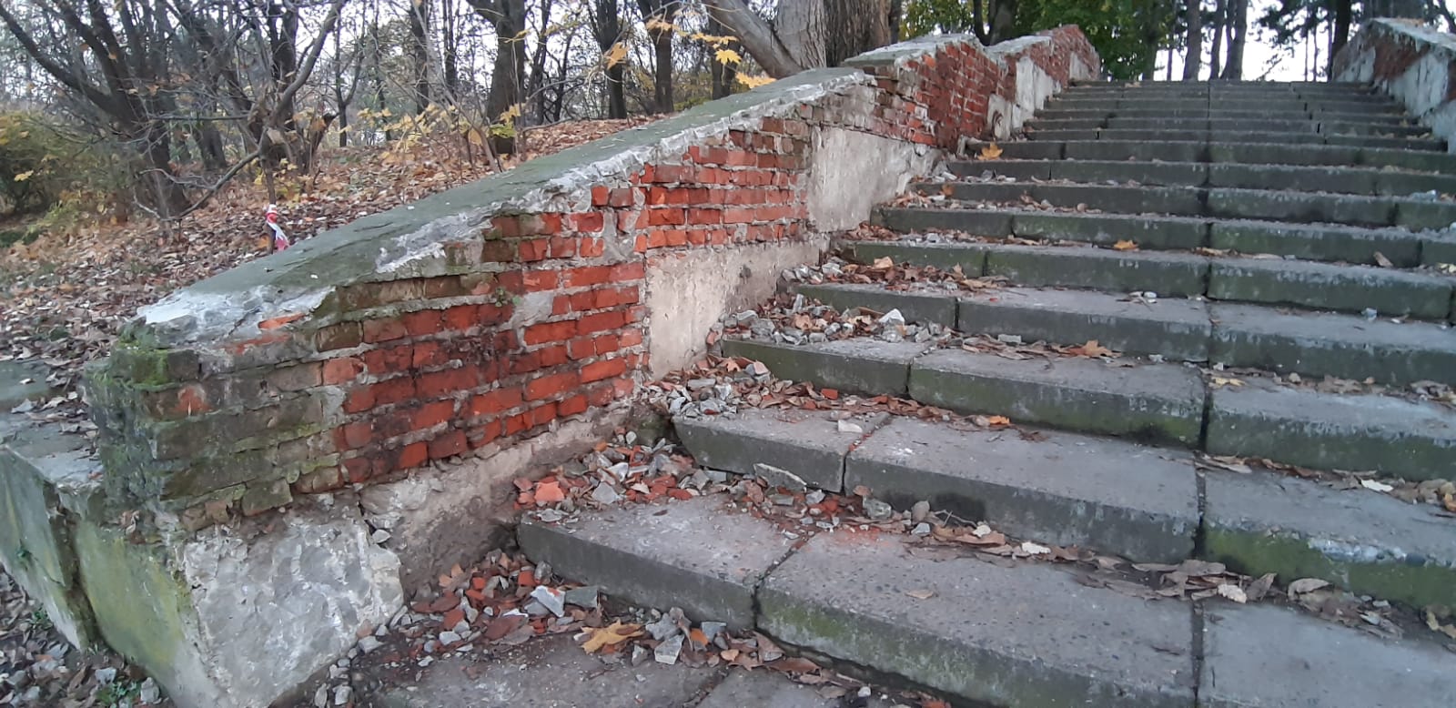 В Краснодаре в парке «Кубань» ведут загадочные работы ВИДЕО | 09.11.2021 |  Краснодар - БезФормата