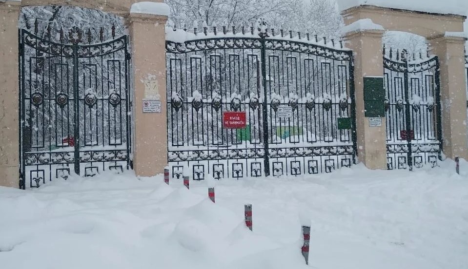 В Краснодаре из-за непогоды закрыли Ботанический сад