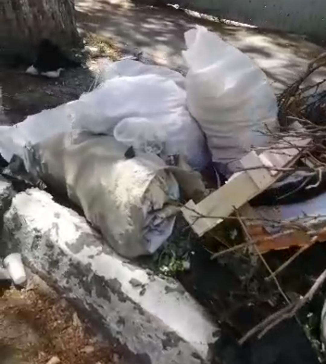Общественница пристыдила власти Геленджика за мусорную свалку в центре ВИДЕО