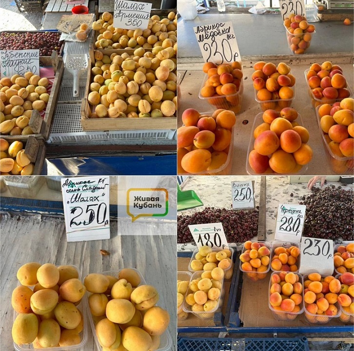 Цены на абрикосы