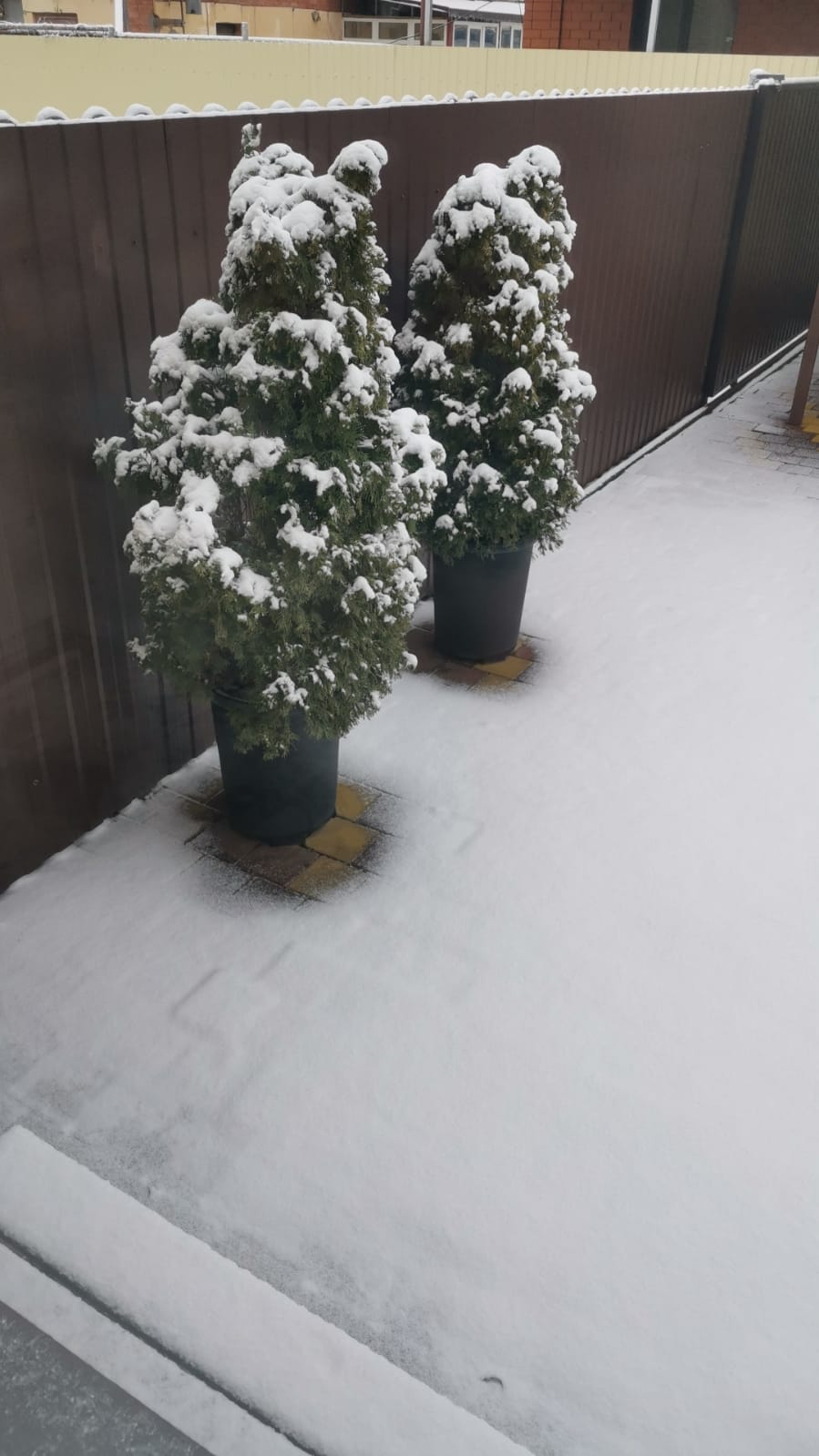 Снег в Краснодаре