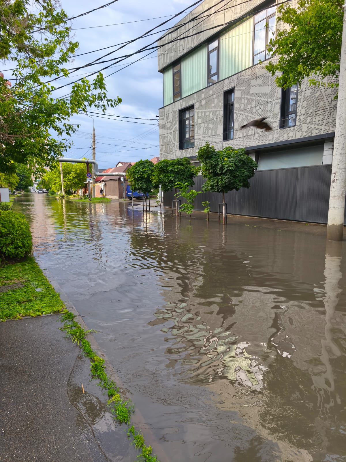 в Краснодаре начинают «судьбоносную для города реконструкцию»