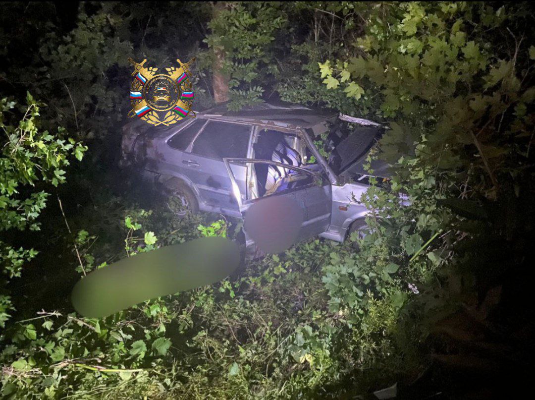 На Кубани молодой водитель разбился, врезавшись в дерево