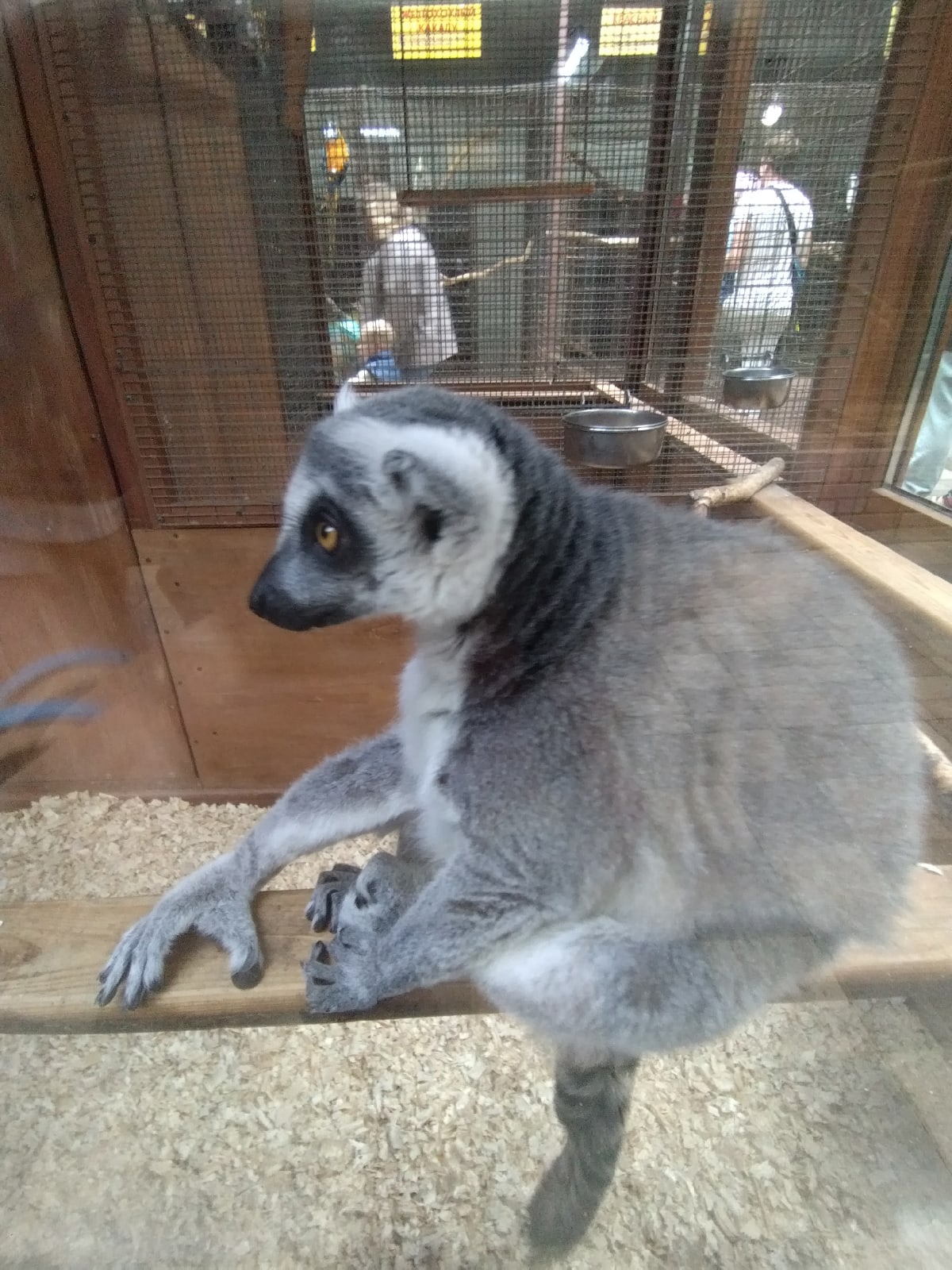 В Анапе закрыли контактный зоопарк «Мир животных»