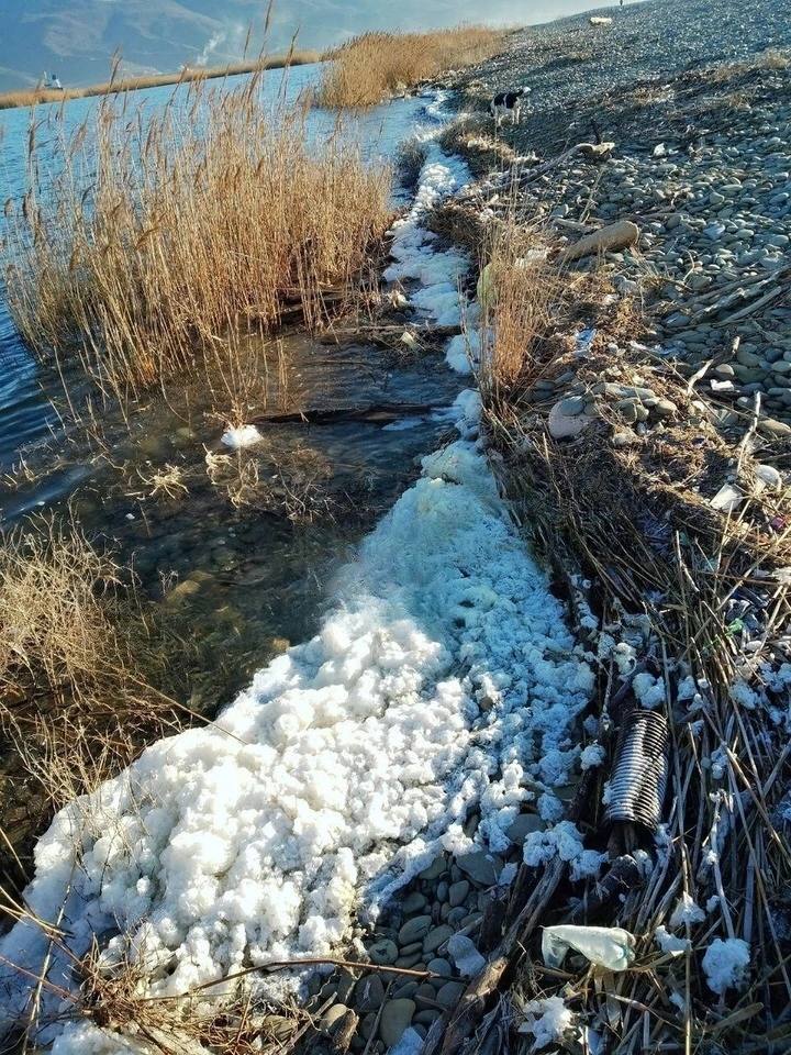 Пена в Новороссийске