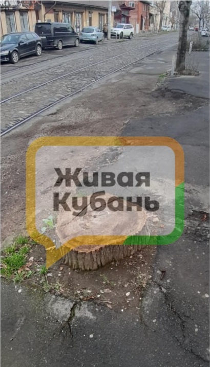 В центре Краснодара горько от вида улицы «им. Максима»