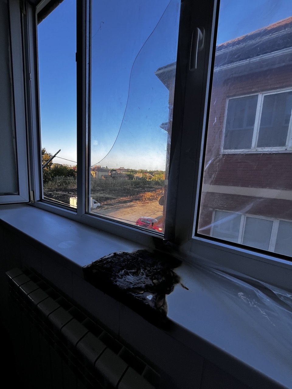 Фото: Живая Кубань