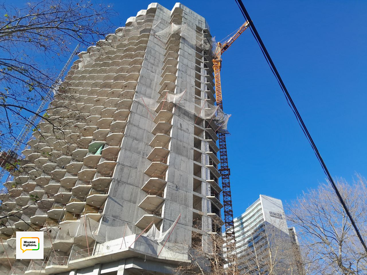 Фото: Живая Кубань