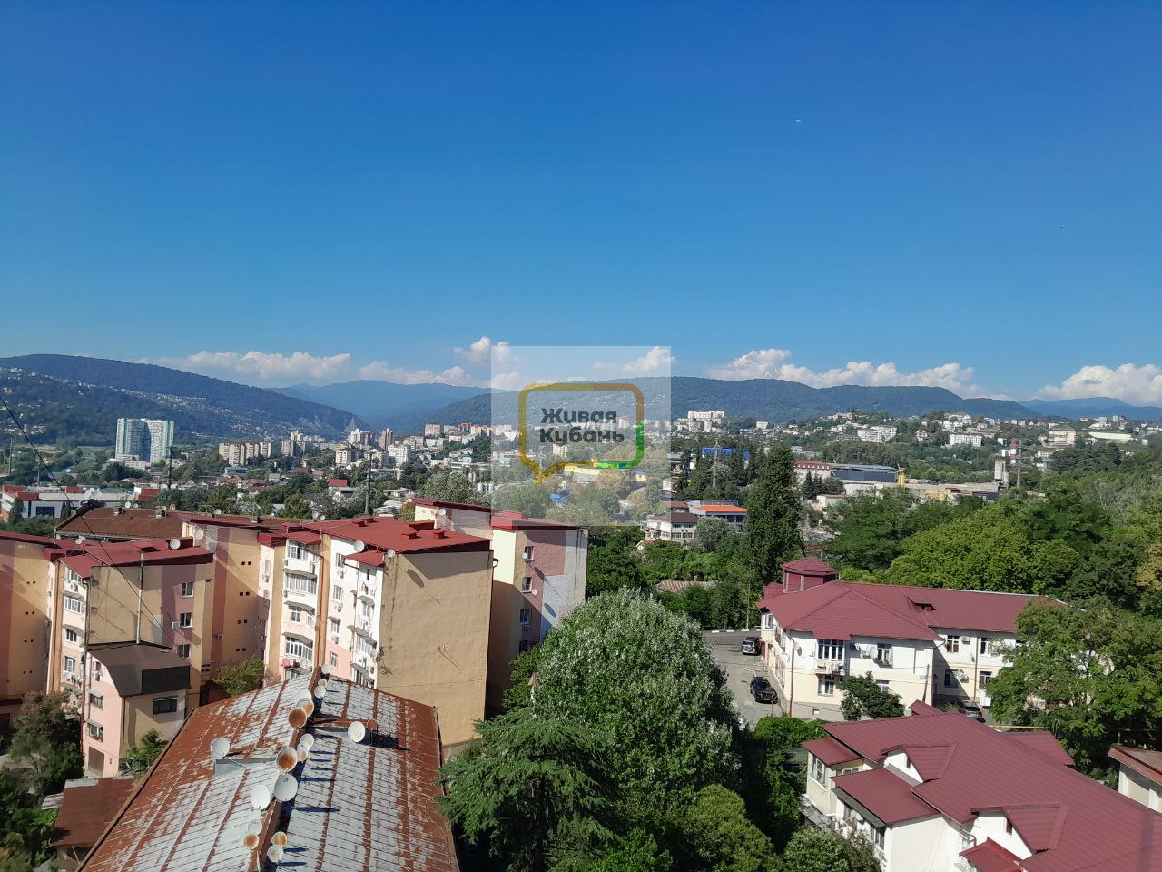 Фото: Живая Кубань