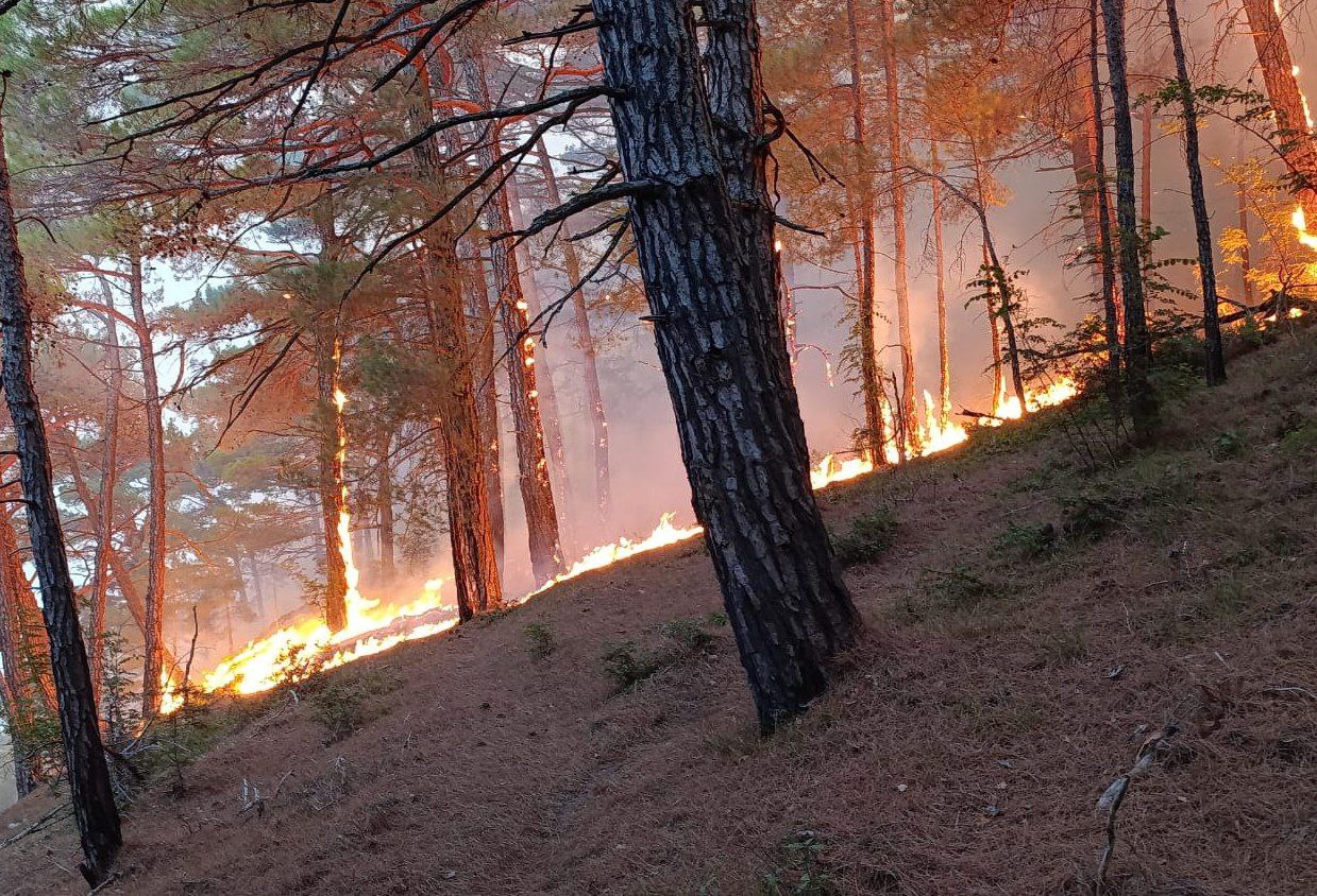 Фото: Типичный Краснодар