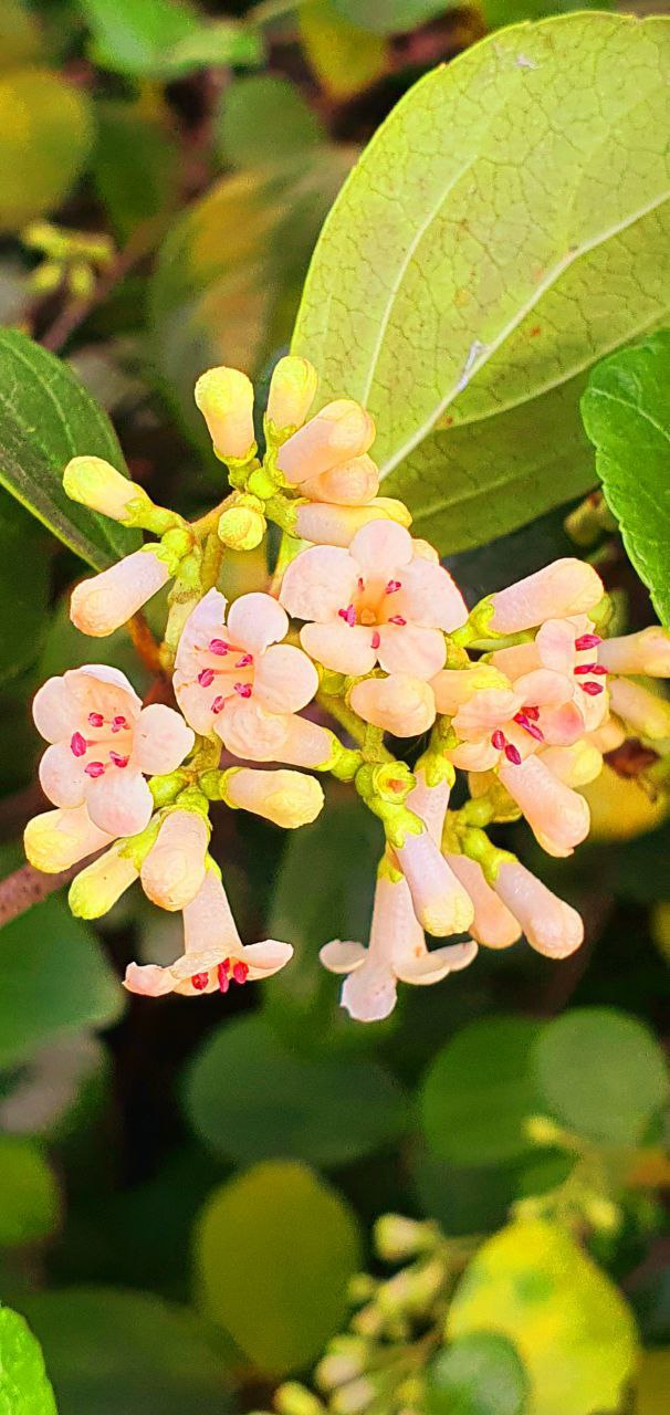 Фото: Типичный Краснодар